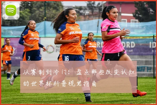 从赛制到冷门：盘点那些改变认知的世界杯科普视觉指南